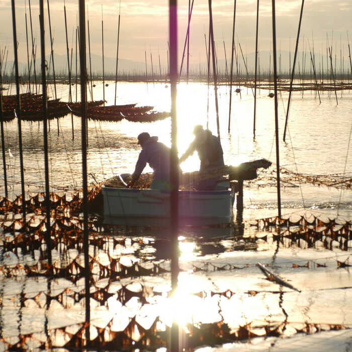 【味のり】佐賀海苔ボトル（10切40枚）2本セット 株式会社サン海苔/吉野ヶ里町 [FBC029]