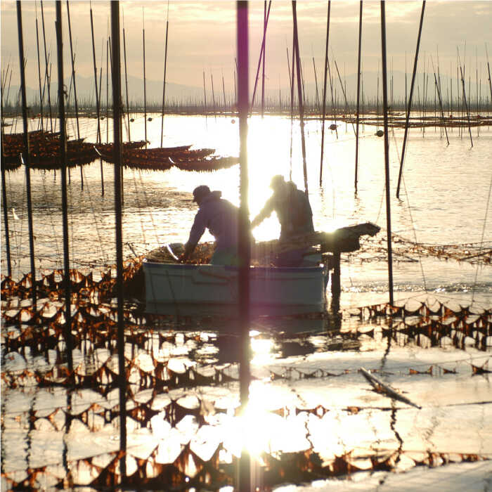 【塩のり】佐賀海苔ボトル（10切40枚）2本セット　株式会社サン海苔/吉野ヶ里町 [FBC033]