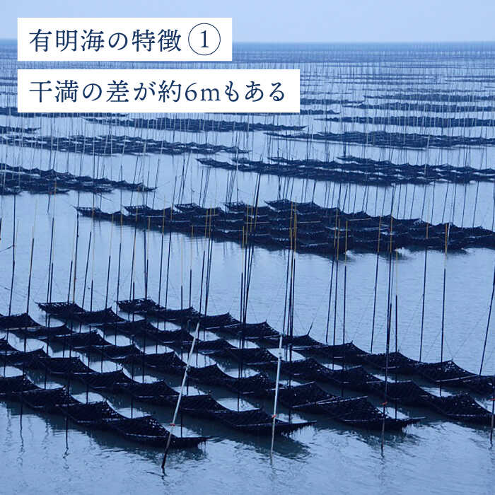 塩佐賀海苔ボトル（10切40枚）2本セット 株式会社サン海苔/吉野ヶ里町 [FBC037]