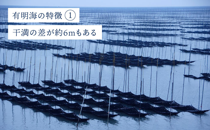 塩佐賀海苔ボトル（10切40枚）2本セット 株式会社サン海苔/吉野ヶ里町 [FBC037]