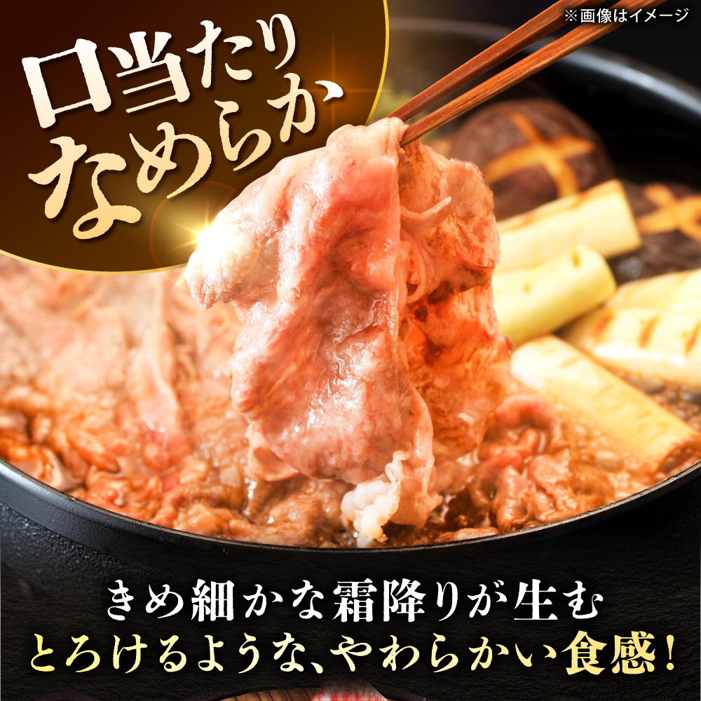【全12回定期便】＜しゃぶしゃぶ・贈り物に＞佐賀牛肩ロース スライス 600g 吉野ヶ里町 /meat shop FUKU A5等級 黒毛和牛 ブランド和牛 佐賀県産 国産 [FCX022]