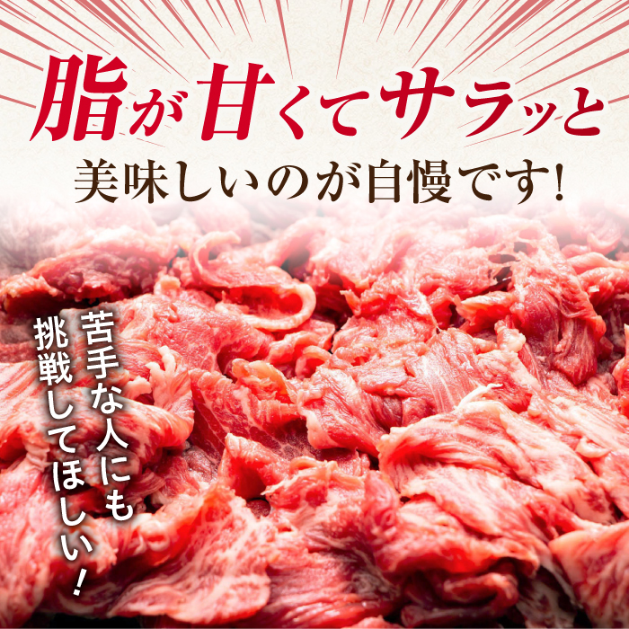 艶さし！ 佐賀牛 切り落とし 肩orバラ 500g 吉野ヶ里町 [FDB006]