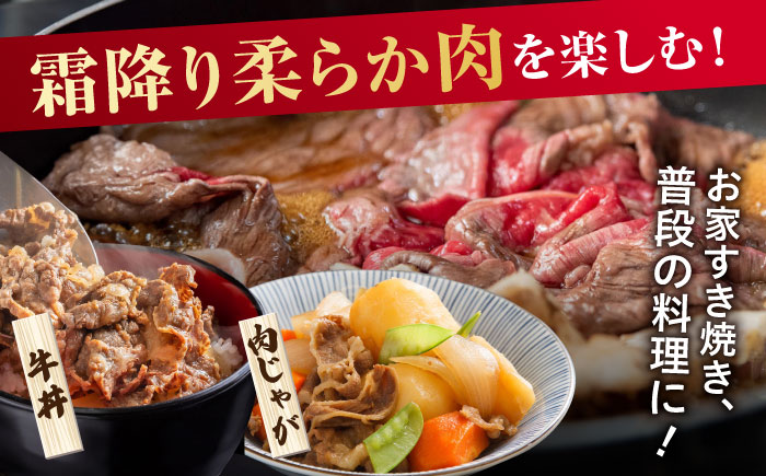 艶さし！ 佐賀牛 切り落とし 肩orバラ 計 1kg （ 500g ×2）  吉野ヶ里町 [FDB007]