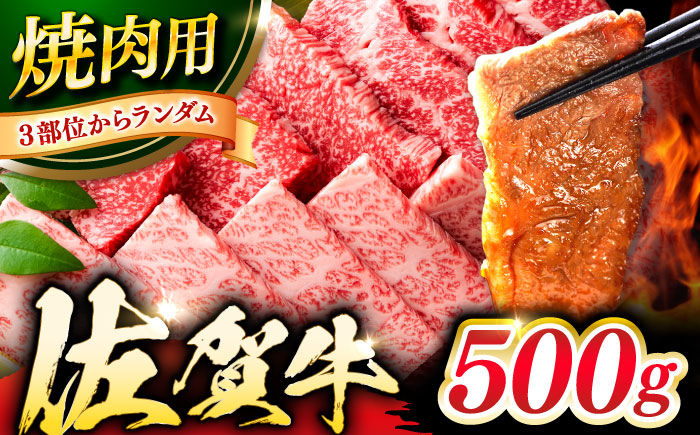 艶さし！ 佐賀牛 焼肉用 500g 吉野ヶ里町 [FDB008]