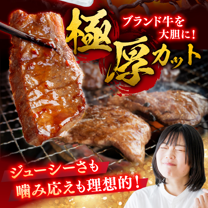 艶さし！ 佐賀牛 焼肉用 500g 吉野ヶ里町 [FDB008]