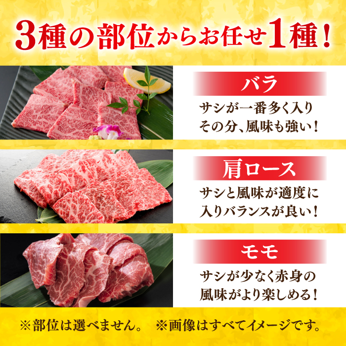 艶さし！ 佐賀牛 焼肉用 500g 吉野ヶ里町 [FDB008]