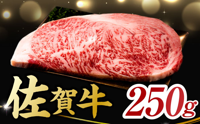 艶さし ！ 佐賀牛 サーロインステーキ 250g （250g×1枚） 吉野ヶ里町 [FDB009]
