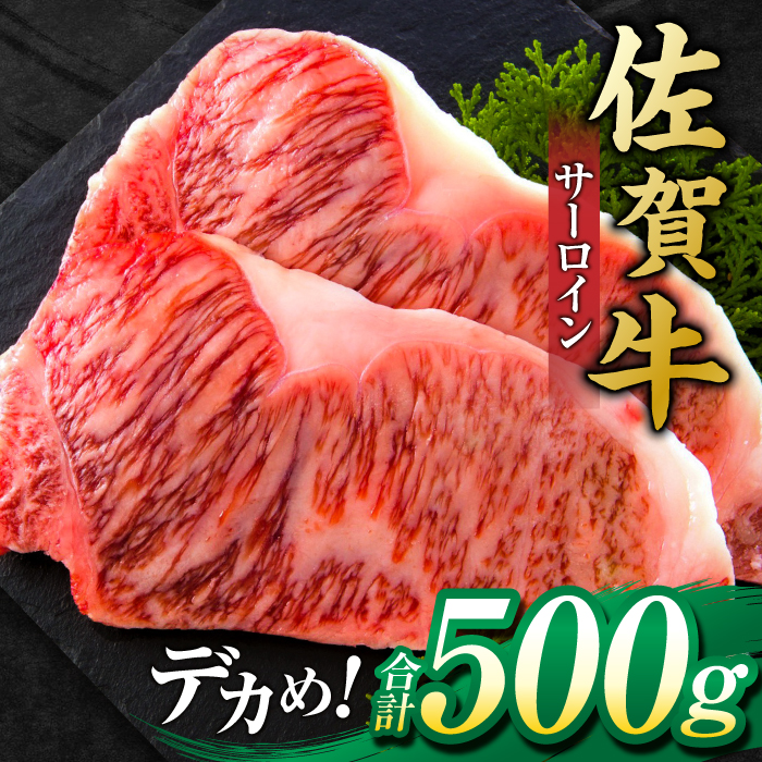 艶さし ！ 佐賀牛サーロインステーキセット 500g （ 250g ×2枚） 吉野ヶ里町 [FDB010]