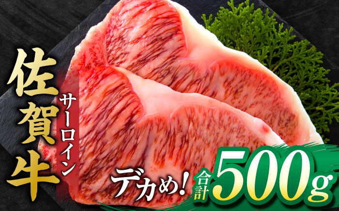 艶さし ！ 佐賀牛サーロインステーキ 500g （ 250g ×2枚） 吉野ヶ里町 [FDB010]