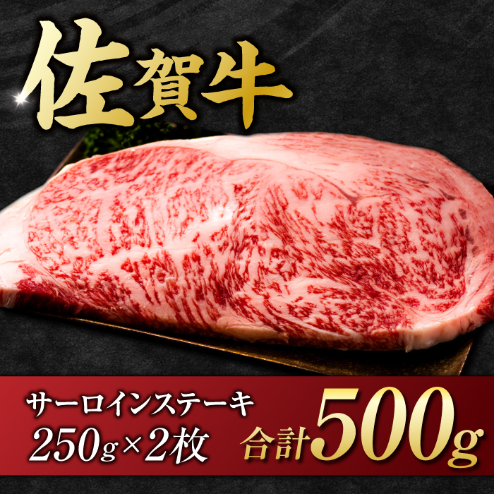 艶さし ！ 佐賀牛サーロインステーキ 500g （ 250g ×2枚） 吉野ヶ里町 [FDB010]