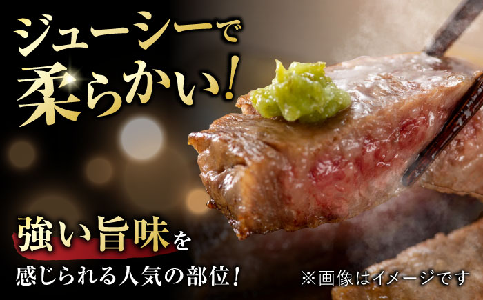 艶さし ！ 佐賀牛サーロインステーキ 500g （ 250g ×2枚） 吉野ヶ里町 [FDB010]