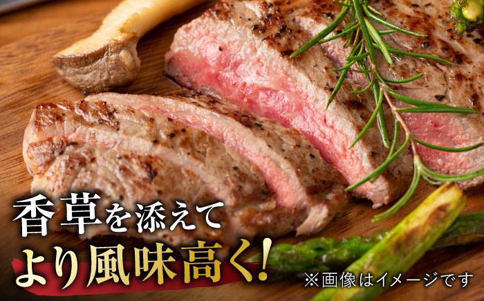 艶さし ！ 佐賀牛サーロインステーキ 500g （ 250g ×2枚） 吉野ヶ里町 [FDB010]