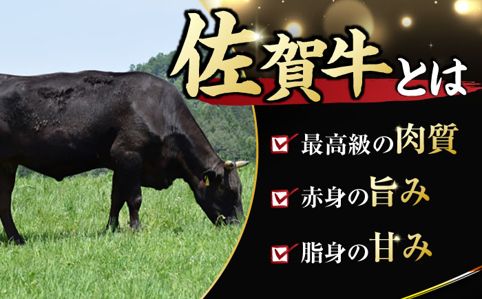 艶さし ！ 佐賀牛サーロインステーキ 500g （ 250g ×2枚） 吉野ヶ里町 [FDB010]