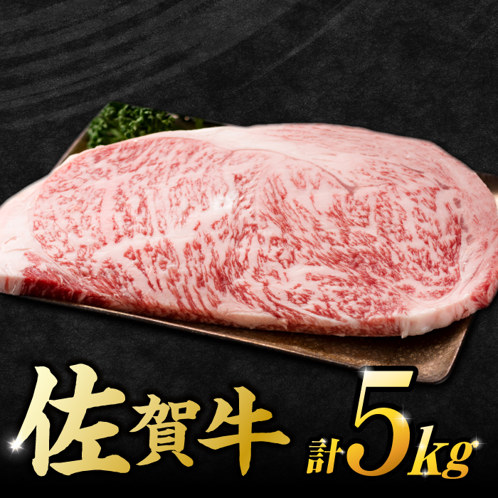 【不揃い訳あり】 佐賀牛 サーロインステーキセット 5kg （ 250g 2枚入り×10パック） 吉野ヶ里町 [FDB012]