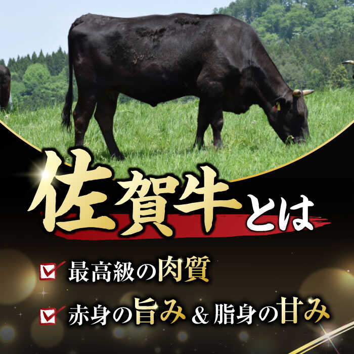 【不揃い訳あり】 佐賀牛 サーロインステーキセット 5kg （ 250g 2枚入り×10パック） 吉野ヶ里町 [FDB012]