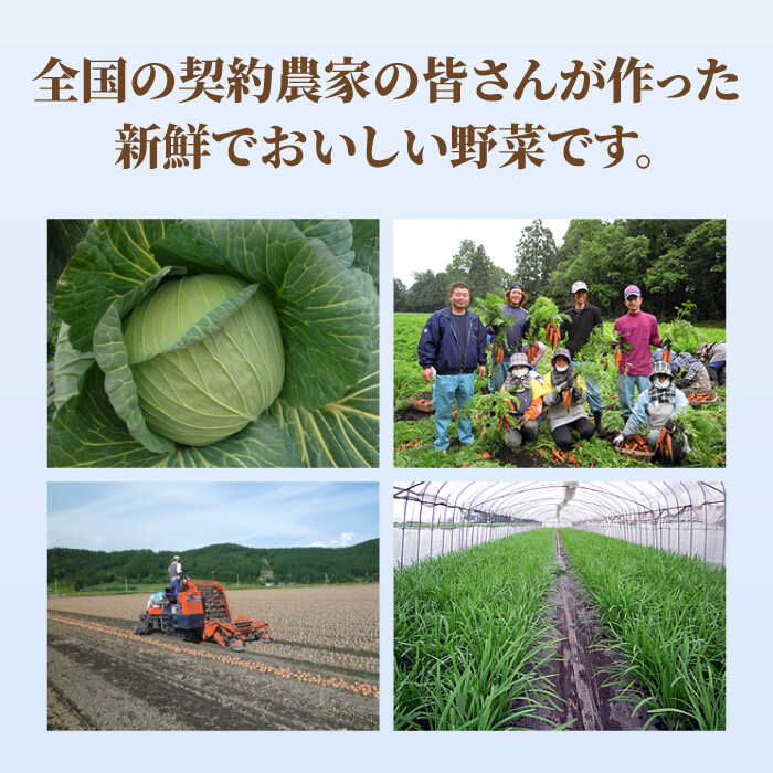 【スピード発送！】リンガーハット ちゃんぽん・皿うどんセット（各2食）あの人気店の味をおうちで！| チャンポン 皿うどん ちゃんぽん麺 |吉野ヶ里町/リンガーフーズ[FBI001]