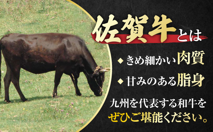 佐賀牛 切り落とし 計 600g （ 150g ×4パック） 吉野ヶ里町/一ノ瀬畜産 [FDC008]