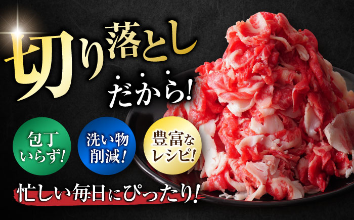 佐賀牛 切り落とし 計 600g （ 150g ×4パック） 吉野ヶ里町/一ノ瀬畜産 [FDC008]