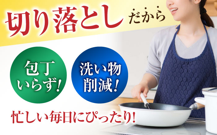 佐賀牛 切り落とし 計 600g （ 150g ×4パック） 吉野ヶ里町/一ノ瀬畜産 [FDC008]