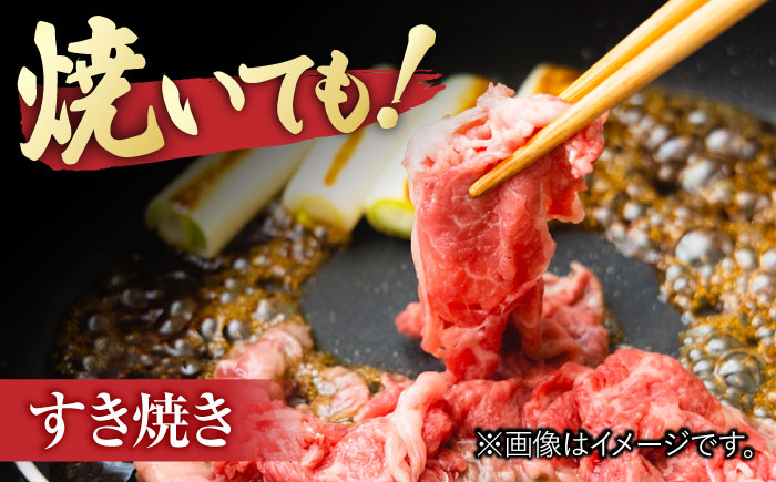 佐賀牛 切り落とし 計 600g （ 150g ×4パック） 吉野ヶ里町/一ノ瀬畜産 [FDC008]