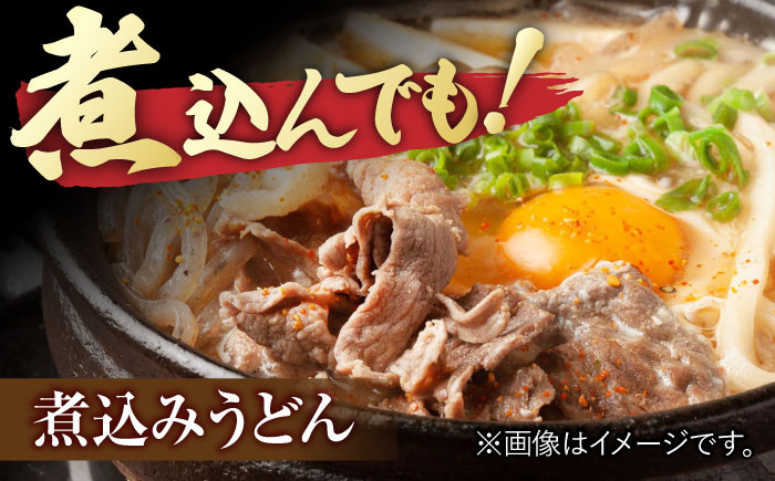 佐賀牛 切り落とし 計 600g （ 150g ×4パック） 吉野ヶ里町/一ノ瀬畜産 [FDC008]