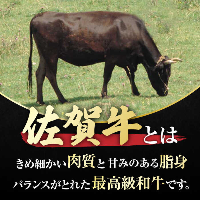 佐賀牛 切り落とし 計 600g （ 150g ×4パック） 吉野ヶ里町/一ノ瀬畜産 [FDC008]