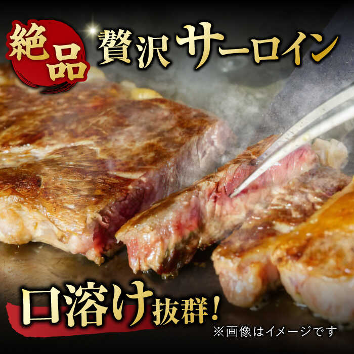 艶さし！ 佐賀牛 ヒレステーキ＆サーロインステーキ 食べ比べ セット 計400g  （ヒレ150g×1枚・サーロイン250g×1枚） 吉野ヶ里町 [FDB022]