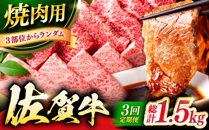 【3回定期便】 艶さし！ 佐賀牛 焼肉用 計1.5kg （500g×3回） ※バラ・肩ロース・モモのいずれかの部位※ 吉野ヶ里町 [FDB033]
