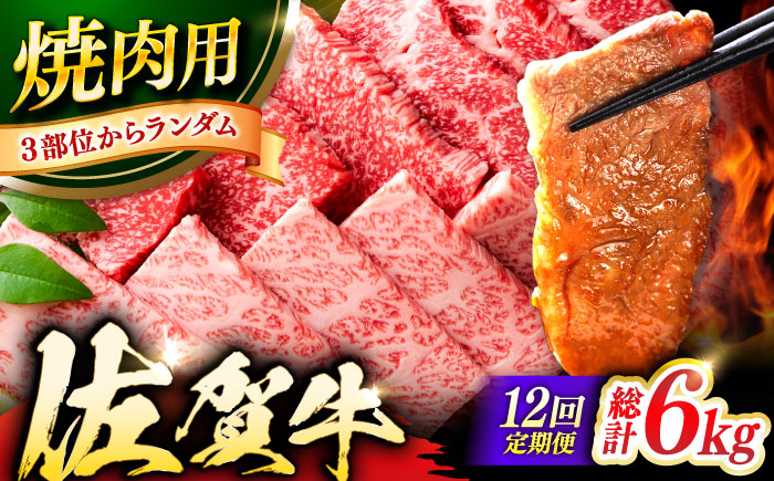 【12回定期便】 艶さし！ 佐賀牛 焼肉用 計6kg （500g×12回）  ※バラ・肩ロース・モモのいずれの部位※ 吉野ヶ里町 [FDB035]