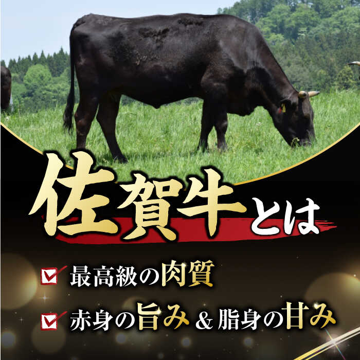 【12回定期便】 艶さし！ 佐賀牛 焼肉用 計6kg （500g×12回）  ※バラ・肩ロース・モモのいずれの部位※ 吉野ヶ里町 [FDB035]