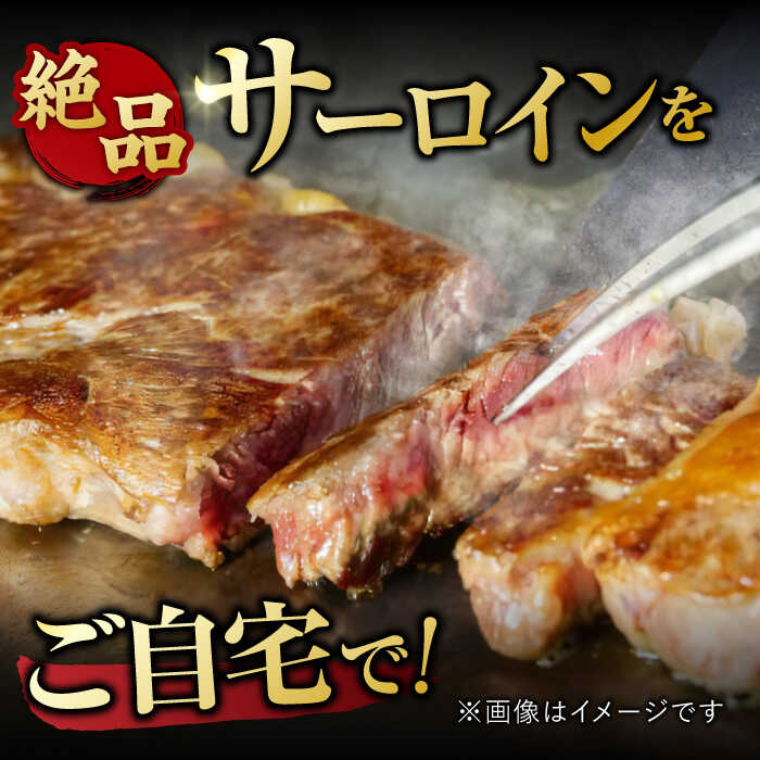 【3回定期便】 艶さし！ 佐賀牛 サーロインステーキセット 計1.5kg （250g×2枚×3回） 吉野ヶ里町 [FDB039]