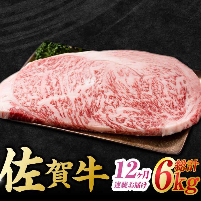 【12回定期便】 艶さし！ 佐賀牛 サーロインステーキセット 計6kg （250g×2枚×12回） 吉野ヶ里町 [FDB041]