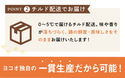 ＜新鮮！産地直送＞みつせ鶏の朝びき鶏 むね肉 計1.5kg（500g×3袋） 吉野ヶ里町/ヨコオフーズ [FAE176]