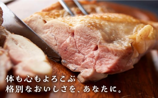 ＜便利な精肉3種＞みつせ鶏もも正肉・もも切身・ミンチセット 計1.7kg 吉野ヶ里町/ヨコオフーズ [FAE173]