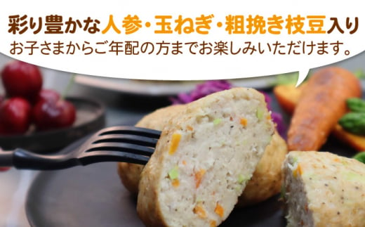 ヘルシー！みつせ鶏ふんわり豆腐ハンバーグ 計10個（5個×2パック） 吉野ケ里町/ヨコオフーズ [FAE163]