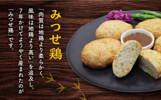 ヘルシー！みつせ鶏ふんわり豆腐ハンバーグ 計10個（5個×2パック） 【スピード発送】  吉野ヶ里町/ヨコオフーズ [FAE163]
