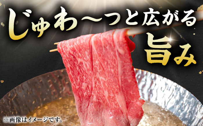 佐賀牛 赤身霜降り しゃぶしゃぶ・すき焼き用 400g 肩orモモ 吉野ヶ里町 [FDB046]