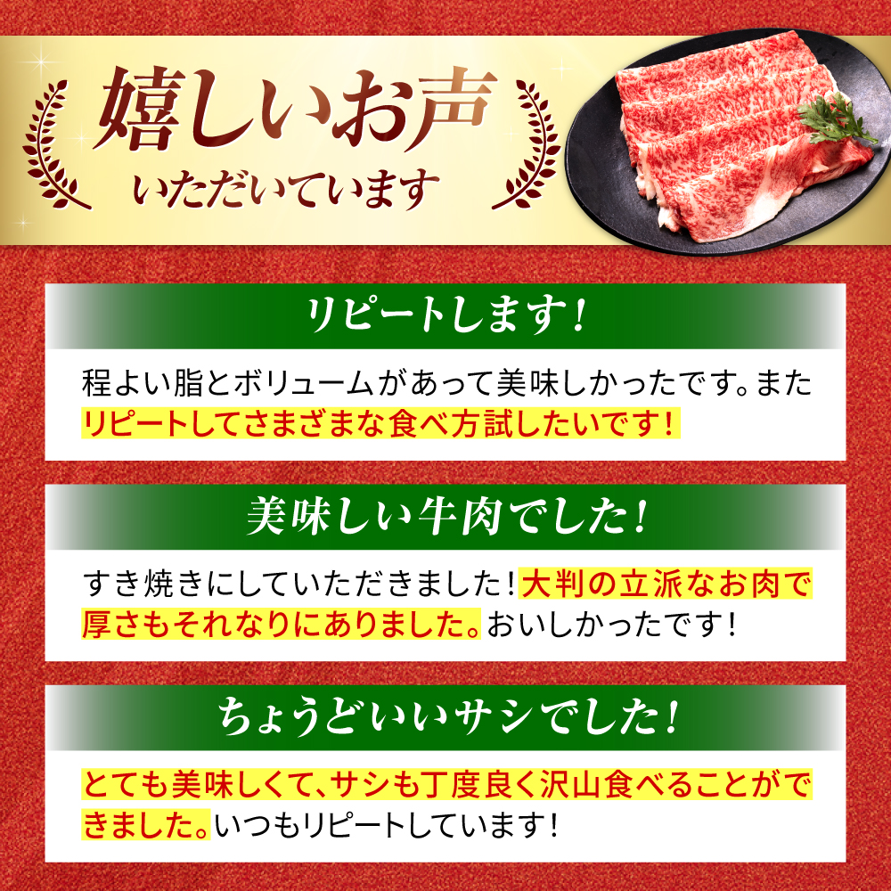 佐賀産和牛 肩ロース しゃぶしゃぶ・すき焼き用 600g 吉野ヶ里町 [FDB060]