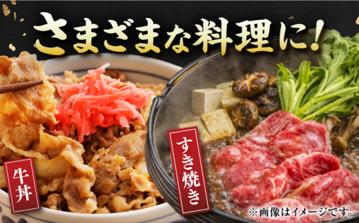 佐賀牛 赤身霜降り しゃぶしゃぶ・すき焼き用 1.2kg（600g×2パック）吉野ヶ里町 [FDB065]