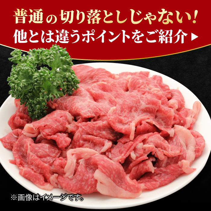 すき焼き しゃぶしゃぶに！佐賀牛 赤身とバラ肉の切り落とし 500g（250g×2P） 吉野ヶ里町/NICK’S MEAT [FCY013]