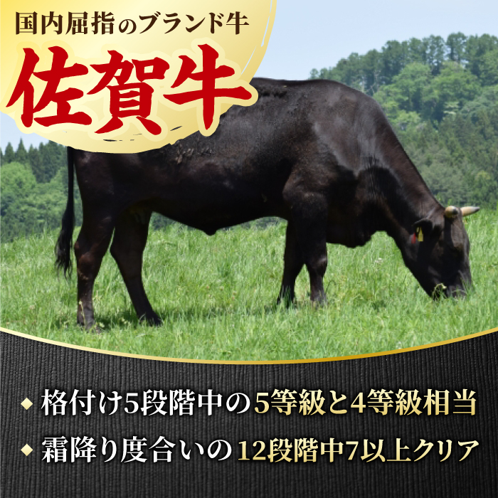 【全6回定期便】すき焼き しゃぶしゃぶに！佐賀牛 赤身とバラ肉の切り落とし 500g（250g×2P） 吉野ヶ里町/NICK’S MEAT [FCY015]