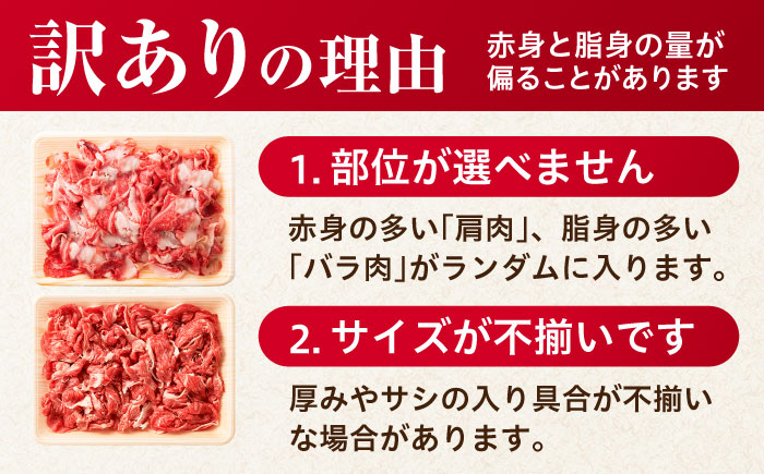 【不揃い訳あり・部位おまかせ】佐賀産和牛 切り落とし 肩orバラ 計1.2kg（600g×2） 吉野ヶ里町 [FDB001]