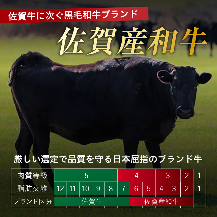 【不揃い訳あり・部位おまかせ】佐賀産和牛 切り落とし 肩orバラ 計1.2kg（600g×2） 吉野ヶ里町 [FDB001]