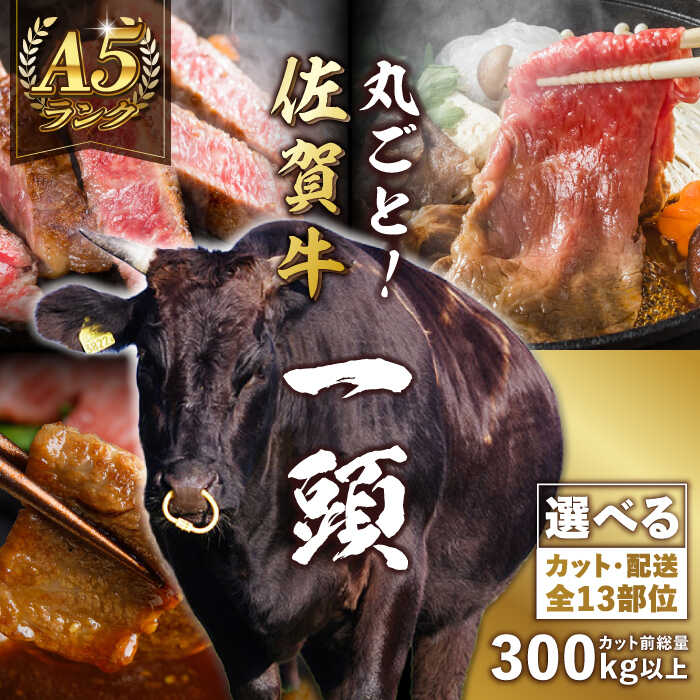 【一頭丸ごとオーダー！】 A5 佐賀牛 一頭食べ尽くしセット 黒毛和牛 オーダーカット 吉野ヶ里町/株式会社MEAT PLUS [FDB066]