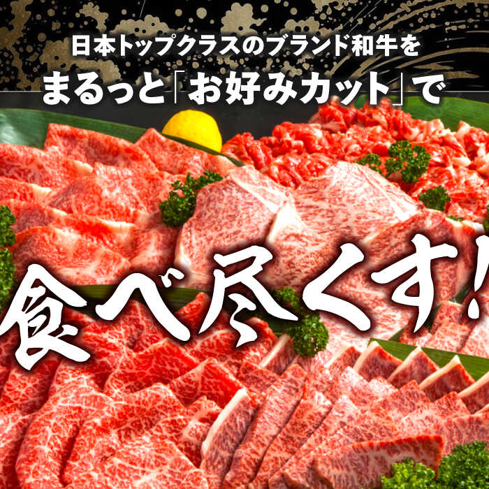 【一頭丸ごとオーダー！】 A5 佐賀牛 一頭食べ尽くしセット 黒毛和牛 オーダーカット 吉野ヶ里町/株式会社MEAT PLUS [FDB066]