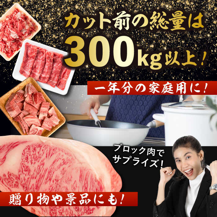 【一頭丸ごとオーダー！】 A5 佐賀牛 一頭食べ尽くしセット 黒毛和牛 オーダーカット 吉野ヶ里町/株式会社MEAT PLUS [FDB066]