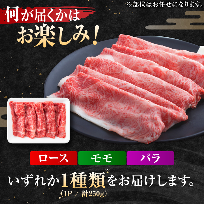 艶さし！佐賀牛 しゃぶしゃぶ・すき焼き用 250g ※肩ロース・肩バラ・モモのいずれか1部位※ 吉野ヶ里町 [FDB017]