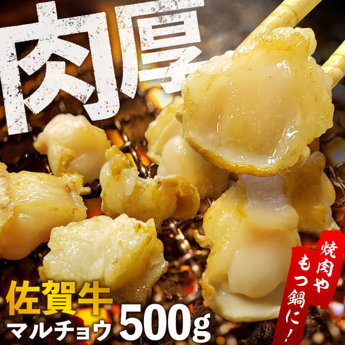 【脂が甘くてぷりっぷり！】佐賀牛ホルモン 焼肉用 小腸 500g（250g×2）味付けなし 吉野ヶ里町/やきとり紋次郎 [FCJ089]