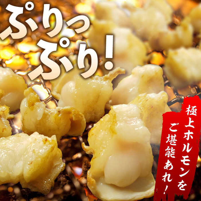 【脂が甘くてぷりっぷり！】佐賀牛ホルモン 焼肉用 小腸 500g（250g×2）味付けなし 吉野ヶ里町/やきとり紋次郎 [FCJ089]