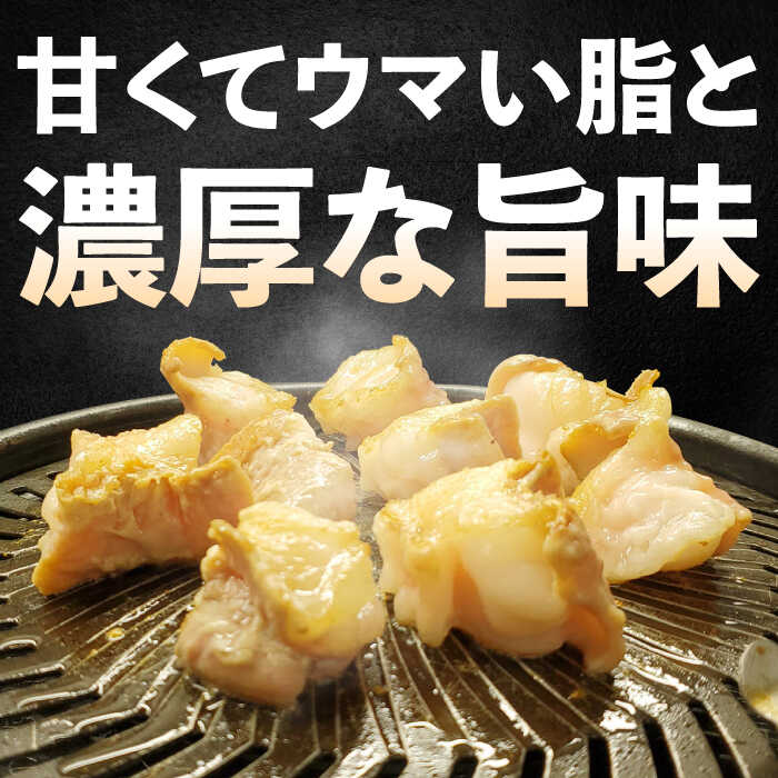 【脂が甘くてぷりっぷり！】佐賀牛ホルモン 焼肉用 小腸 500g（250g×2）味付けなし 吉野ヶ里町/やきとり紋次郎 [FCJ089]